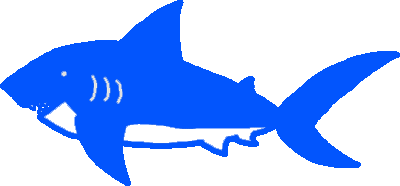 blue_shark_pic.png